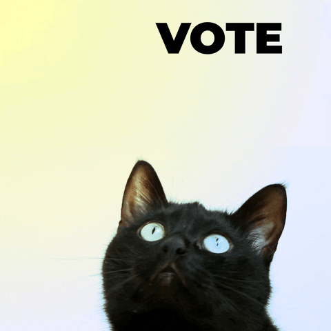 नीली आंखों वाली एक काली बिल्ली तैरता हुआ पाठ देख रही है जिस पर वोट लिखा है